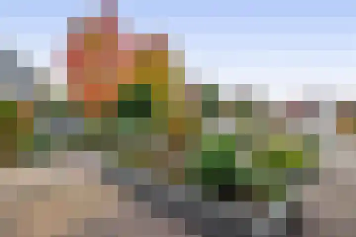 Jan Altinkhof 6 Veendam thumbnail 8