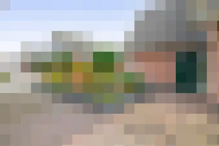 Jan Altinkhof 6 Veendam thumbnail 9