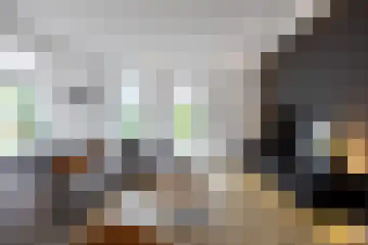 Jan Altinkstraat 1 Ten Boer thumbnail 13