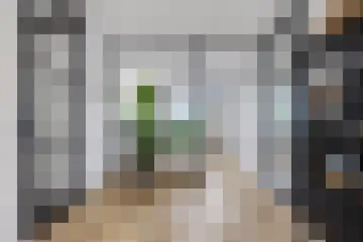Jan Altinkstraat 1 Ten Boer thumbnail 18