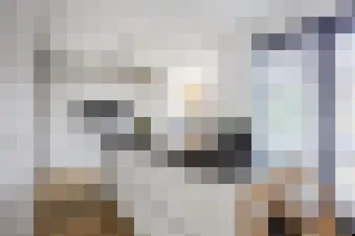 Jan Altinkstraat 1 Ten Boer thumbnail 20
