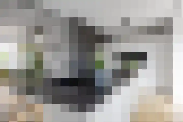 Jan Altinkstraat 1 Ten Boer thumbnail 22