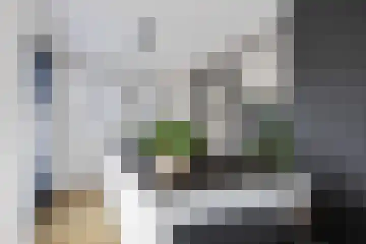Jan Altinkstraat 1 Ten Boer thumbnail 23
