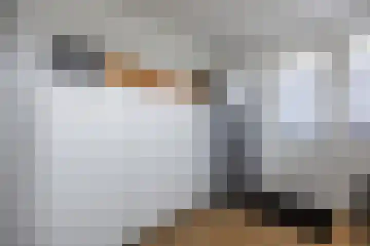 Jan Altinkstraat 1 Ten Boer thumbnail 34
