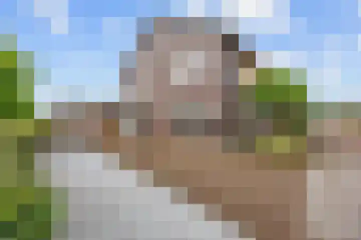 Jan Altinkstraat 1 Ten Boer thumbnail 5