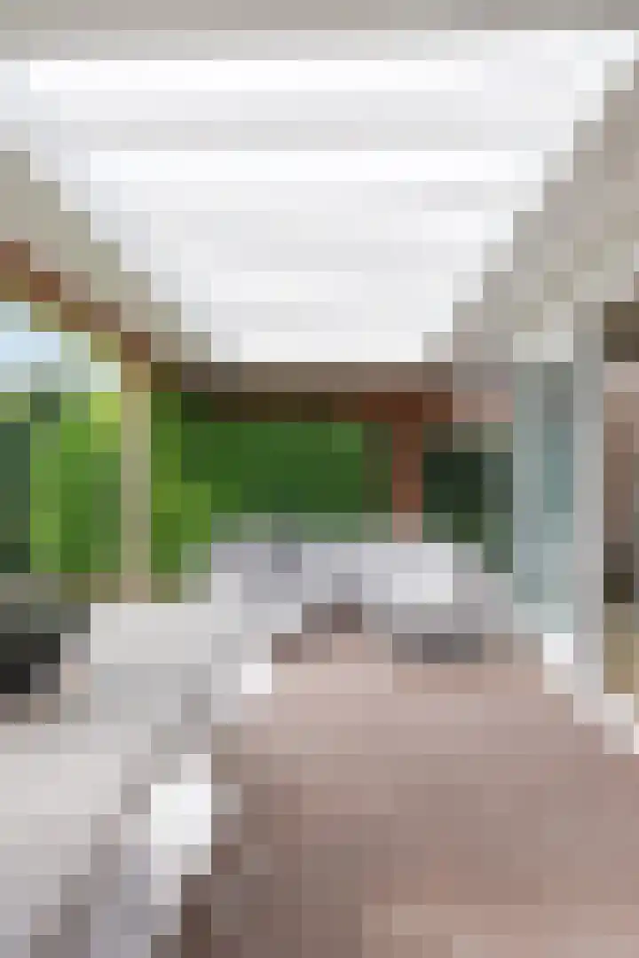 Jan Altinkstraat 1 Ten Boer thumbnail 59
