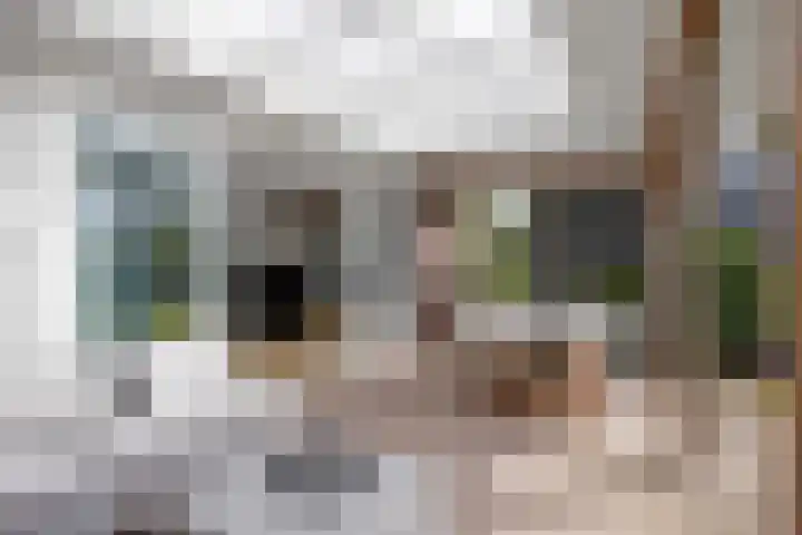 Jan Altinkstraat 1 Ten Boer thumbnail 61
