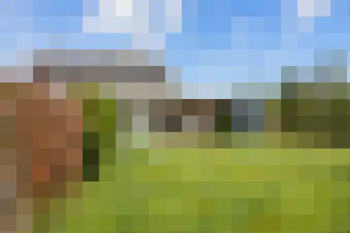Jan Altinkstraat 1 Ten Boer thumbnail 64