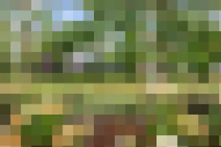 Jan Altinkstraat 1 Ten Boer thumbnail 69
