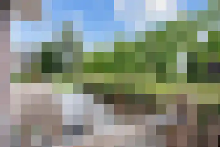 Jan Altinkstraat 1 Ten Boer thumbnail 71