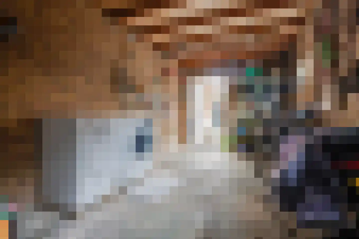 Jan Amentstraat 30 Roermond thumbnail 22