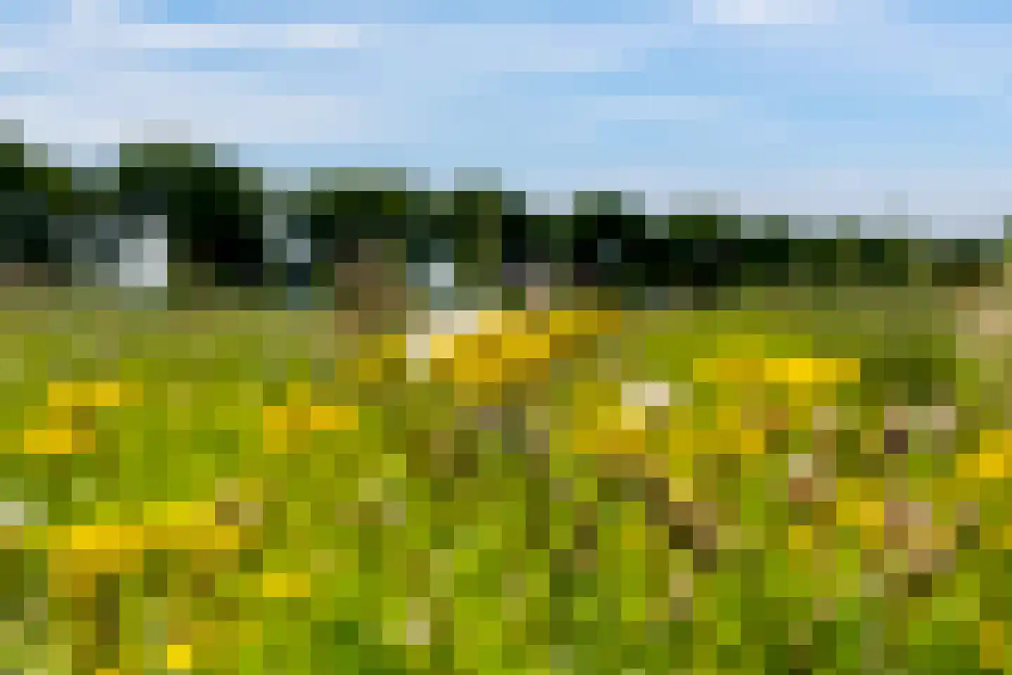 Jan Amos Comeniusstraat 13 Almere thumbnail 27