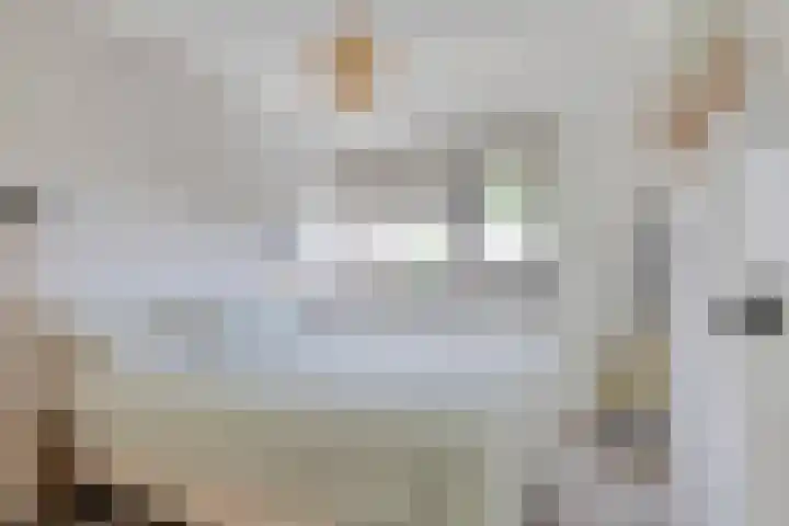 Jan Arentsen Boomstraat 15 Middelburg thumbnail 20