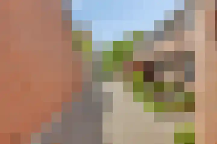 Jan Arentsen Boomstraat 15 Middelburg thumbnail 5