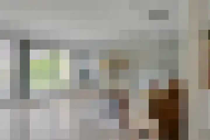 Jan Arentsen Boomstraat 15 Middelburg thumbnail 9