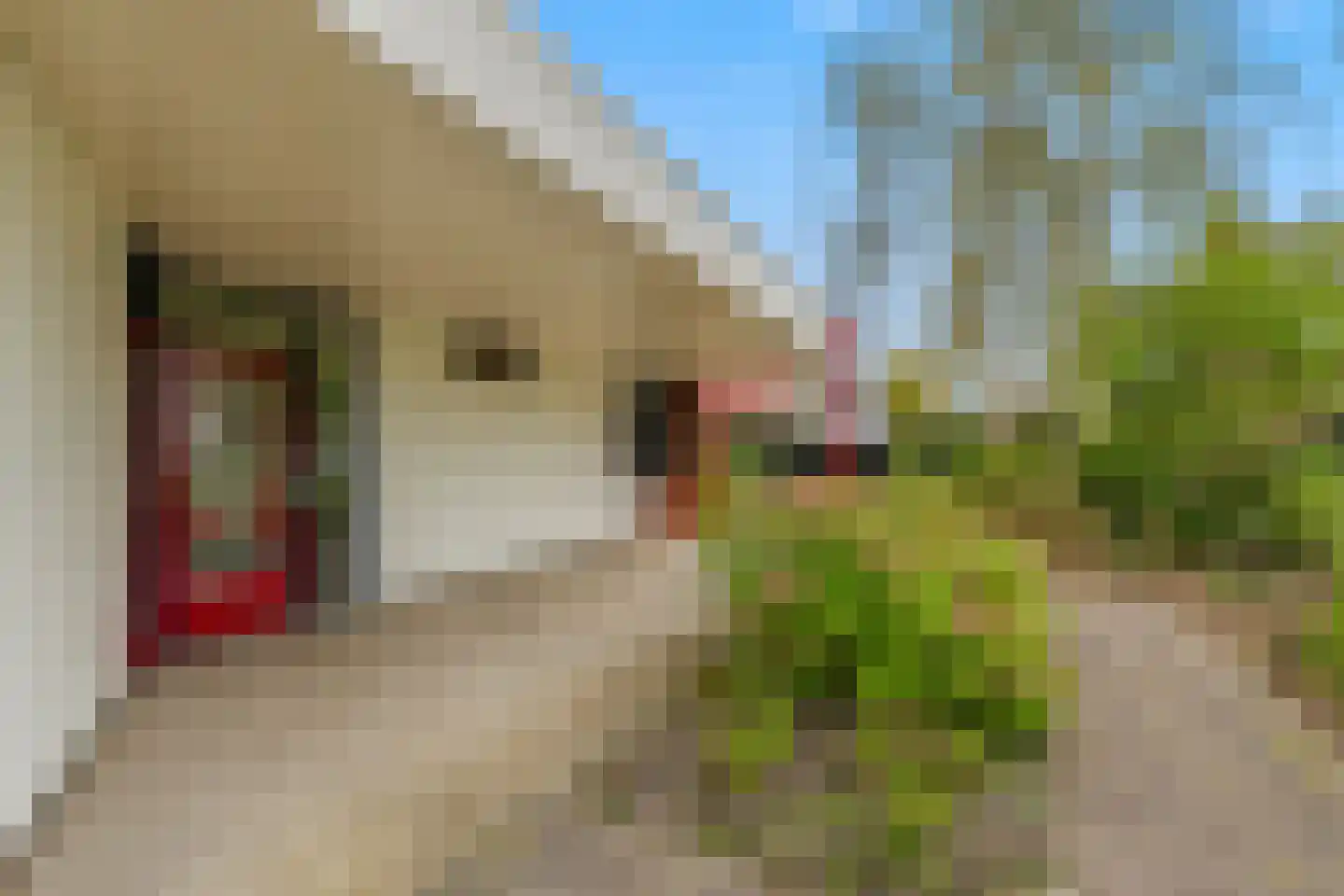 Jan Arentsweg 6 Warmenhuizen thumbnail 11