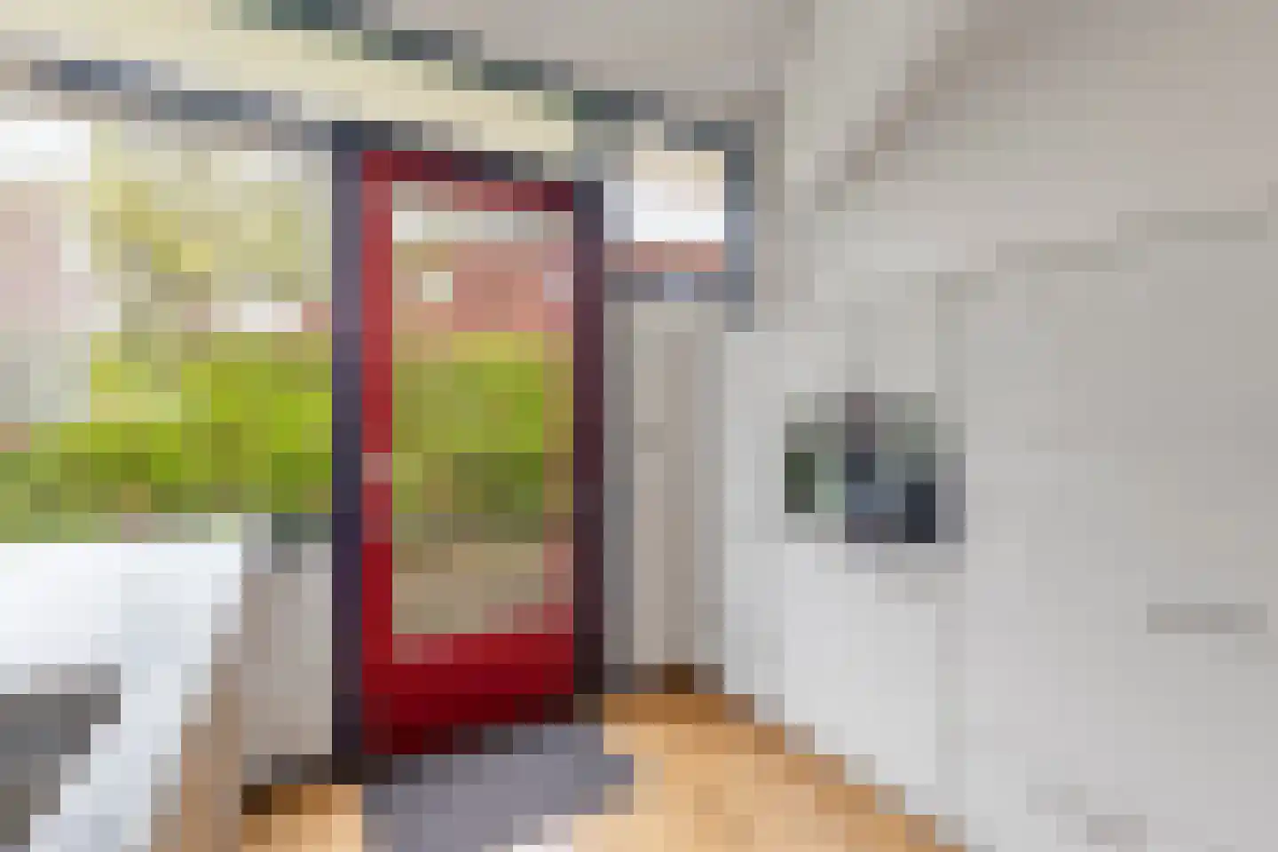 Jan Arentsweg 6 Warmenhuizen thumbnail 22