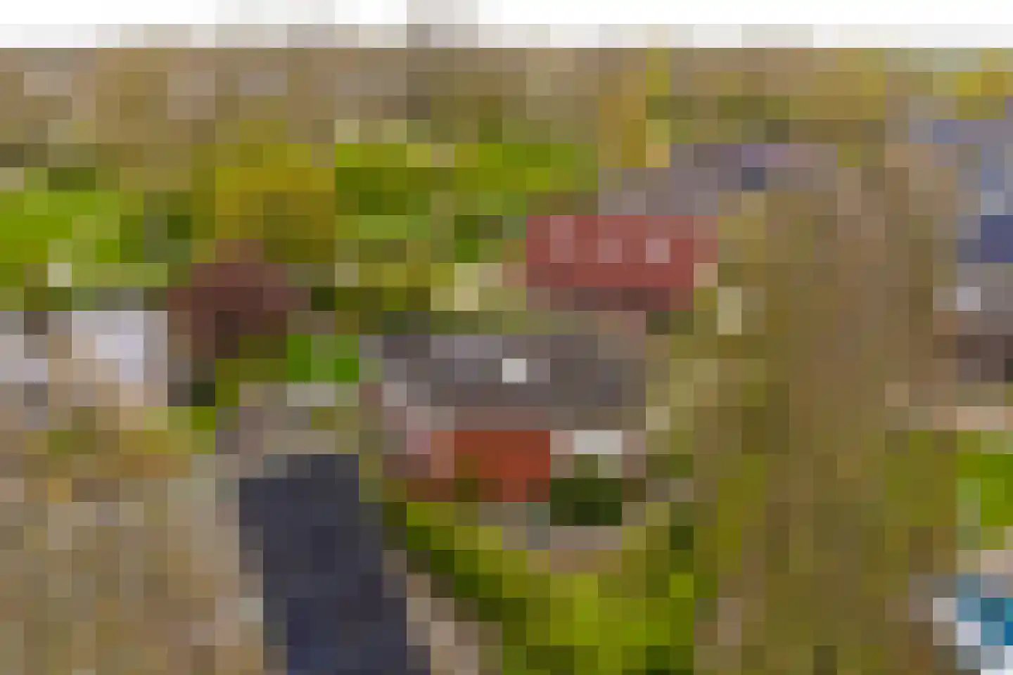 Jan Arentsweg 6 Warmenhuizen thumbnail 46