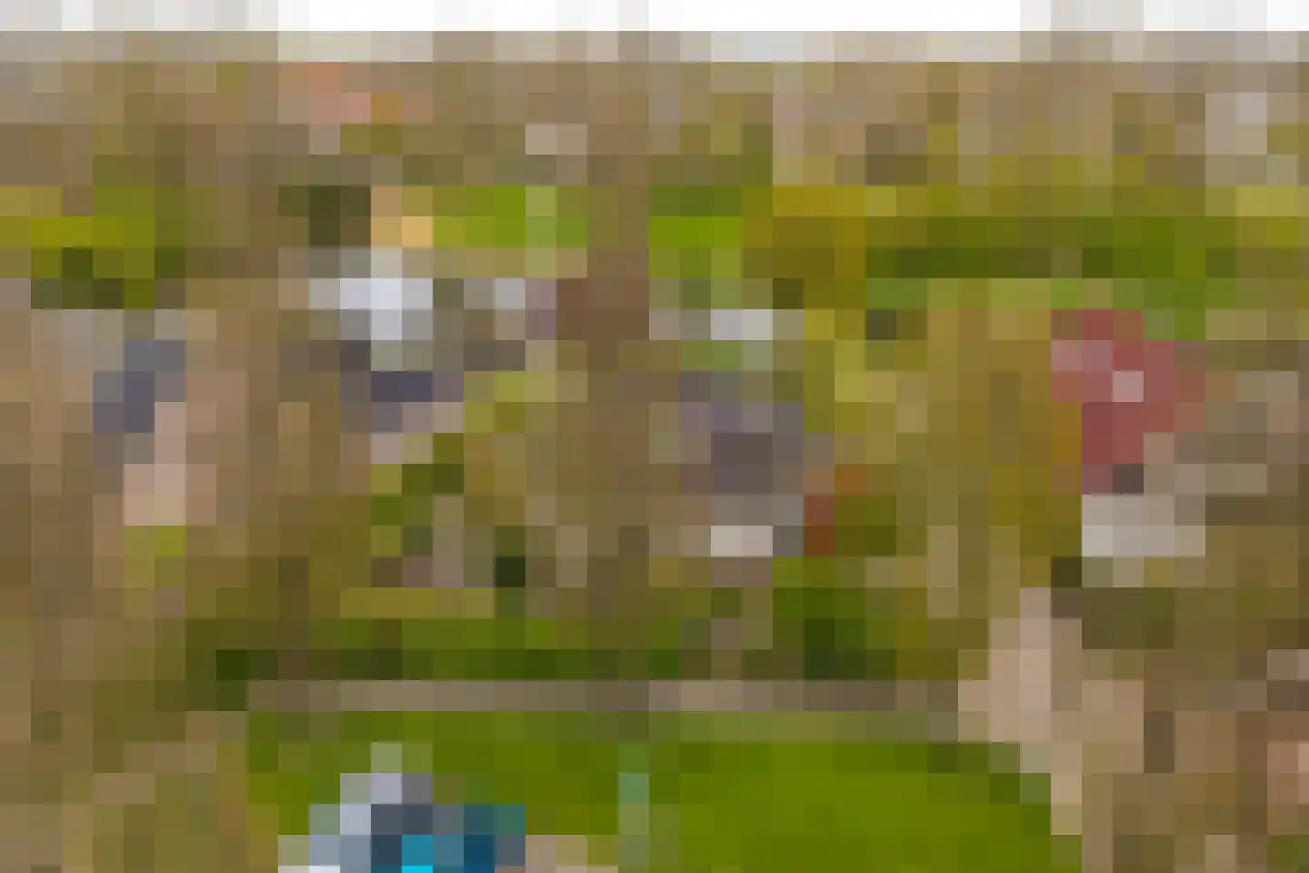 Jan Arentsweg 6 Warmenhuizen thumbnail 47