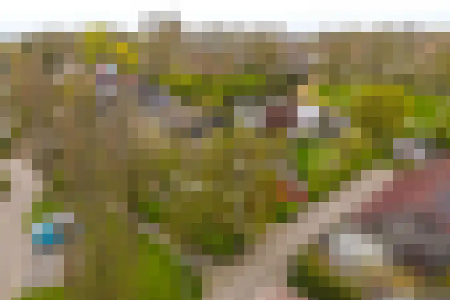 Jan Arentsweg 6 Warmenhuizen thumbnail 48
