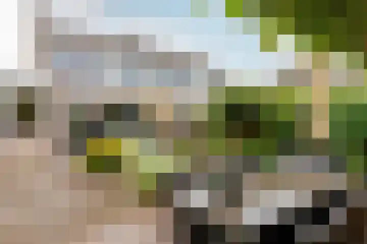 Jan Azn. Leeghwaterstraat 10 Harderwijk thumbnail 28