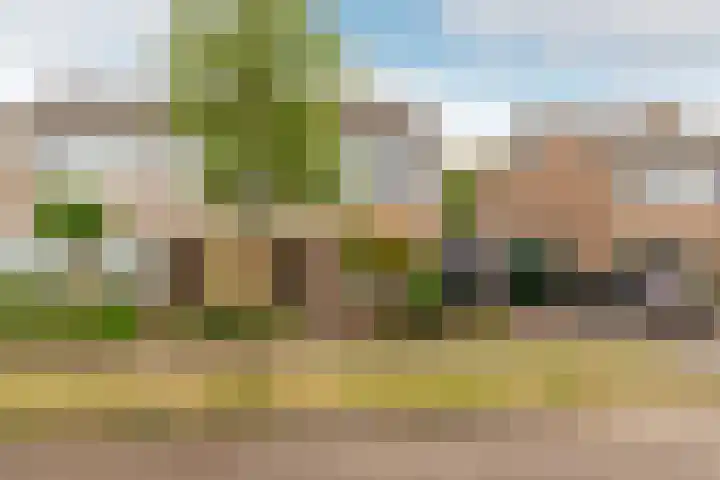Jan Azn. Leeghwaterstraat 10 Harderwijk thumbnail 36