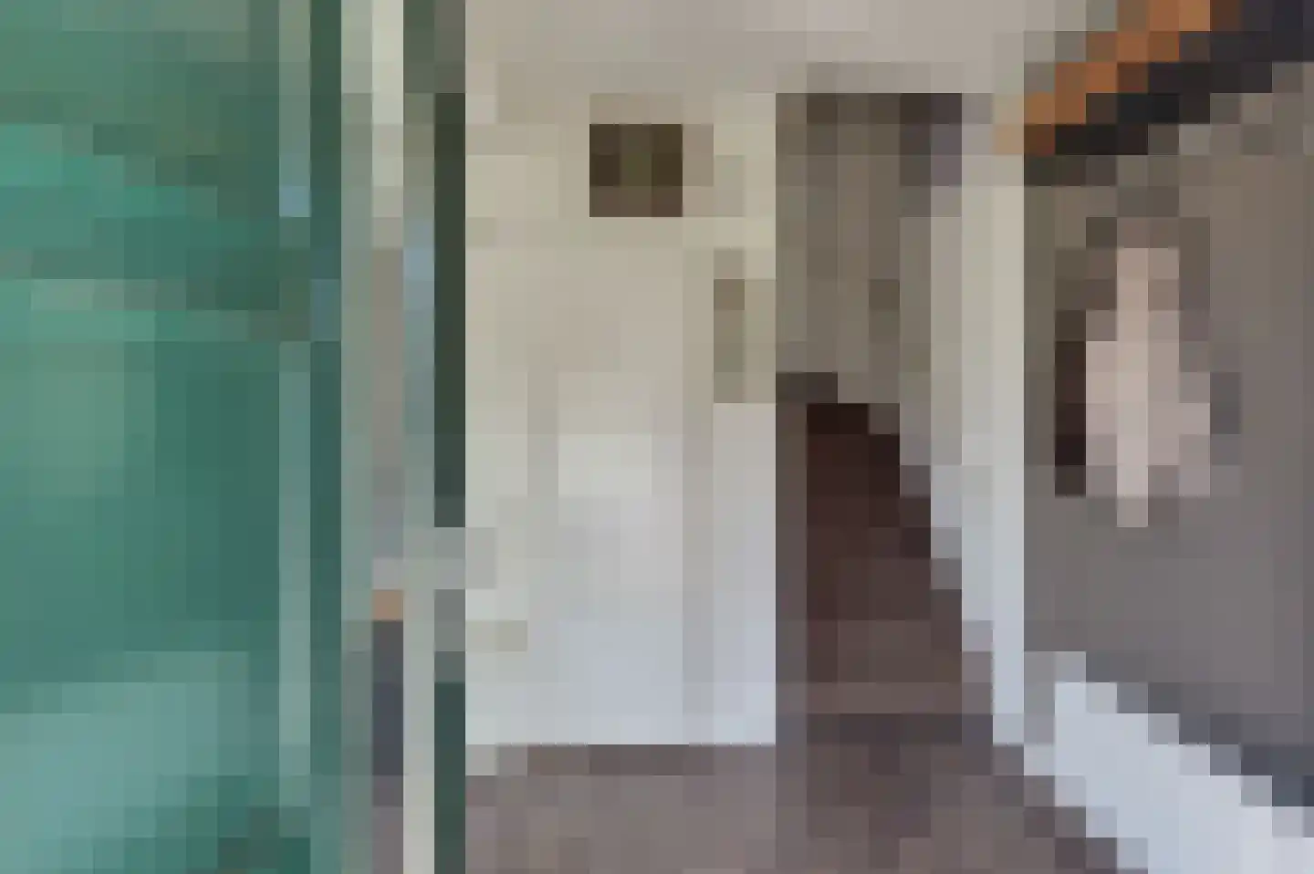 Jan Azn. Leeghwaterstraat 8 Harderwijk thumbnail 6
