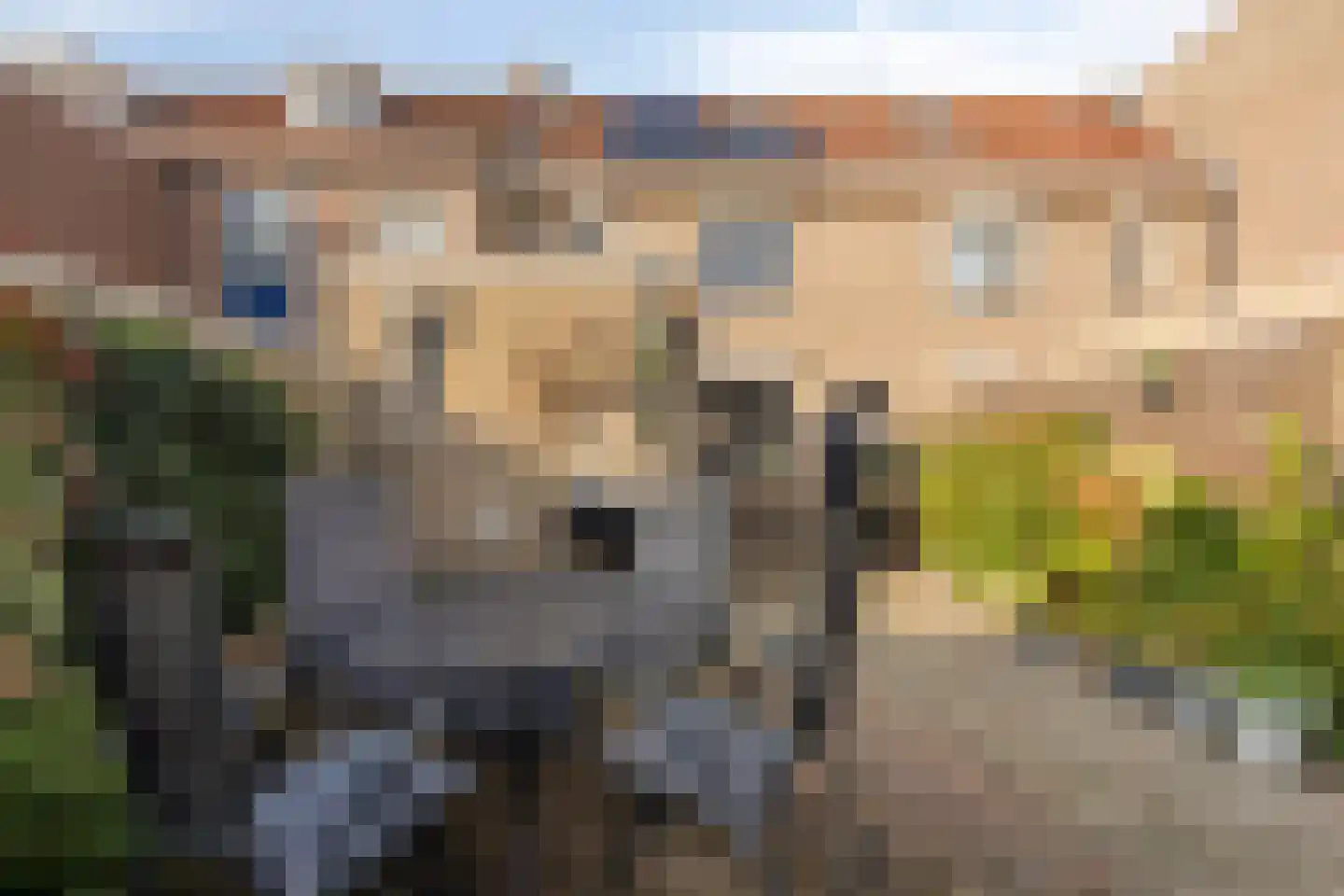 Jan Backstraat 10 08 Tilburg thumbnail 39