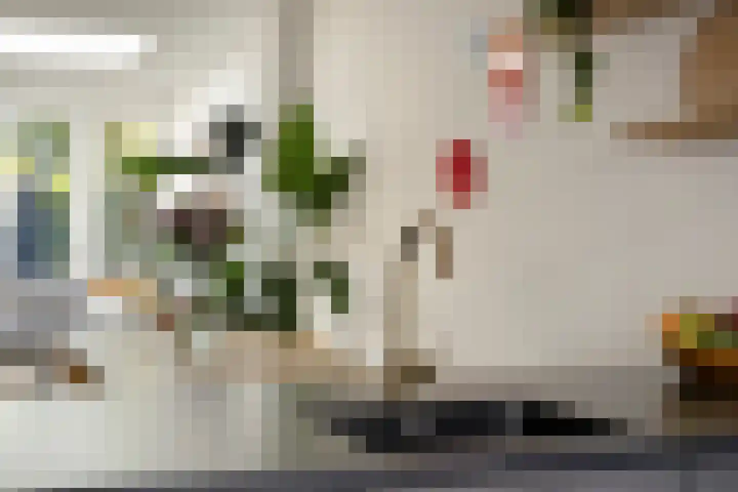 Jan Backstraat 24 Tilburg thumbnail 14