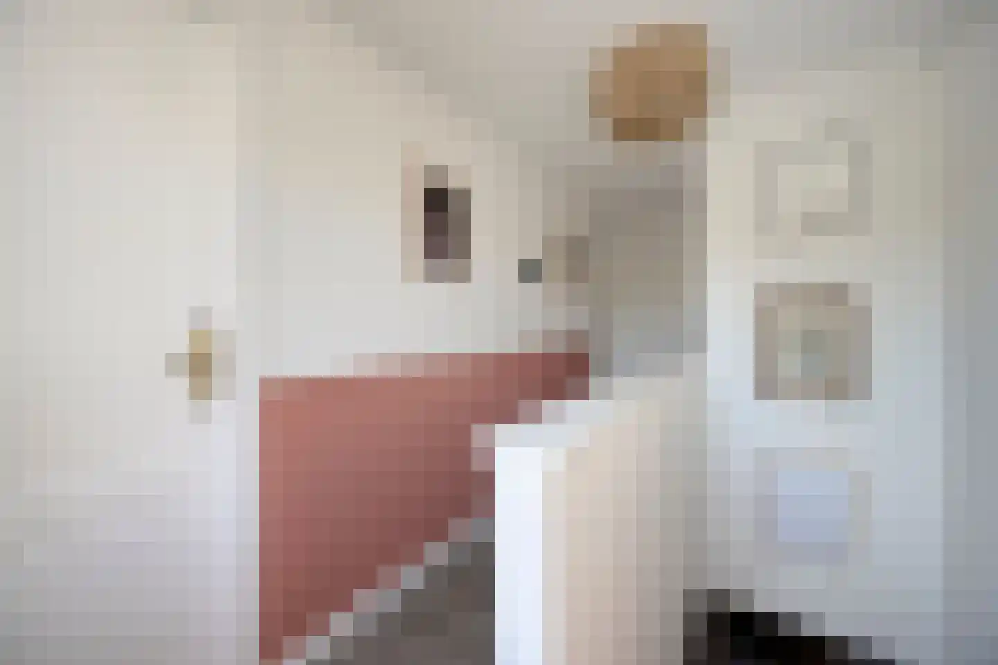 Jan Backstraat 24 Tilburg thumbnail 17
