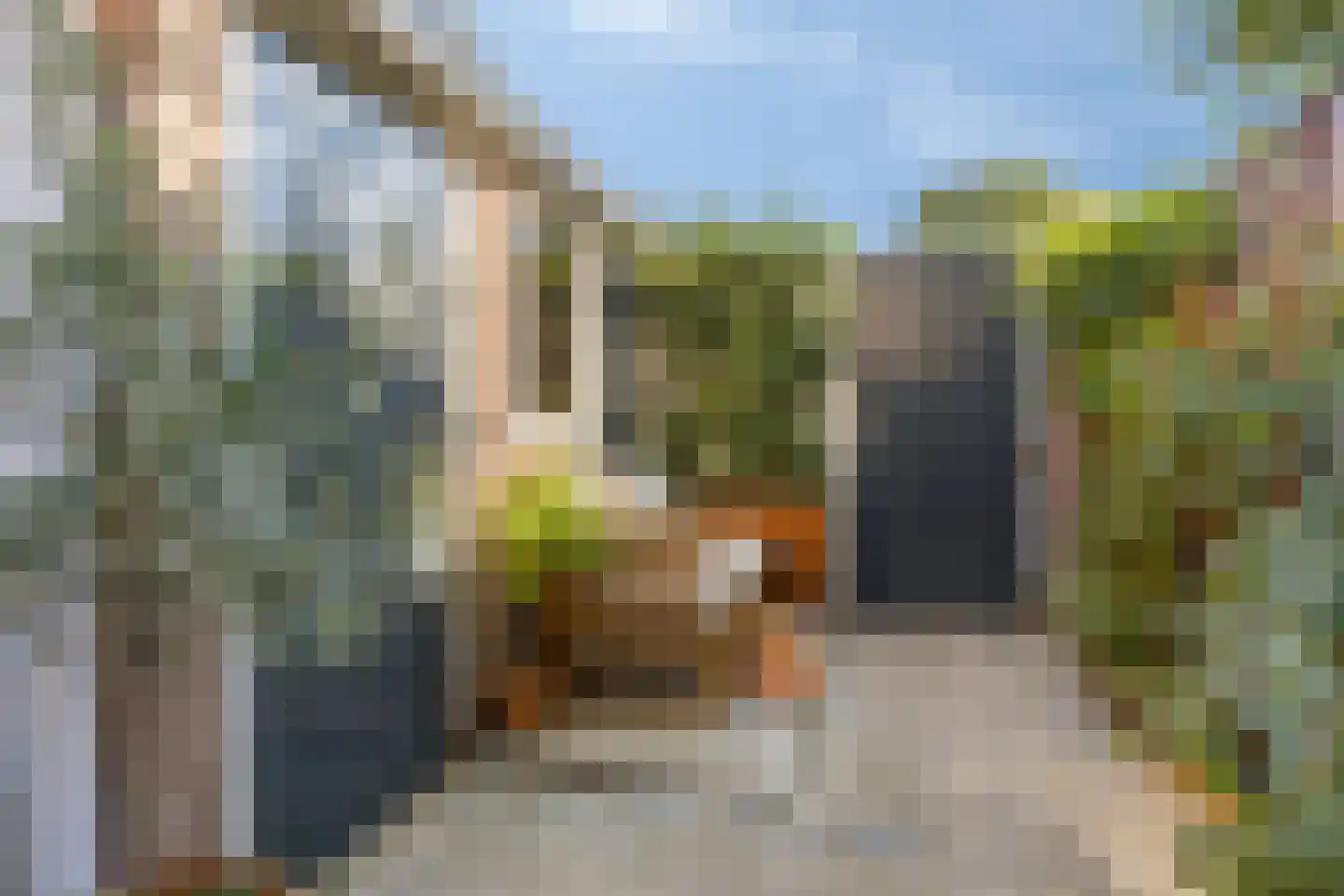 Jan Backstraat 24 Tilburg thumbnail 27