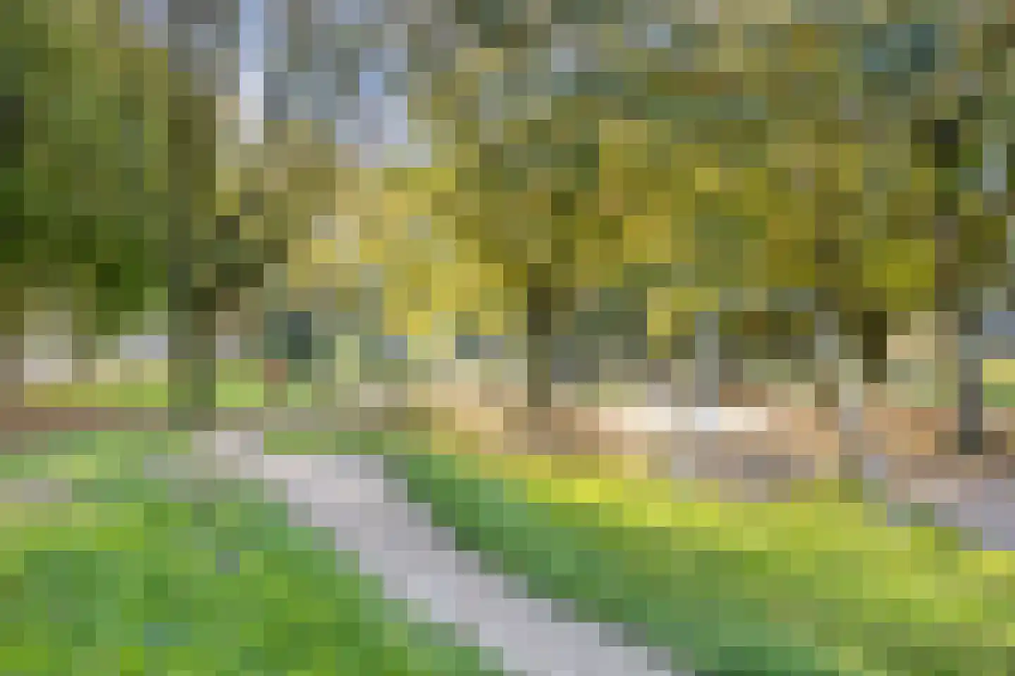 Jan Backstraat 24 Tilburg thumbnail 33