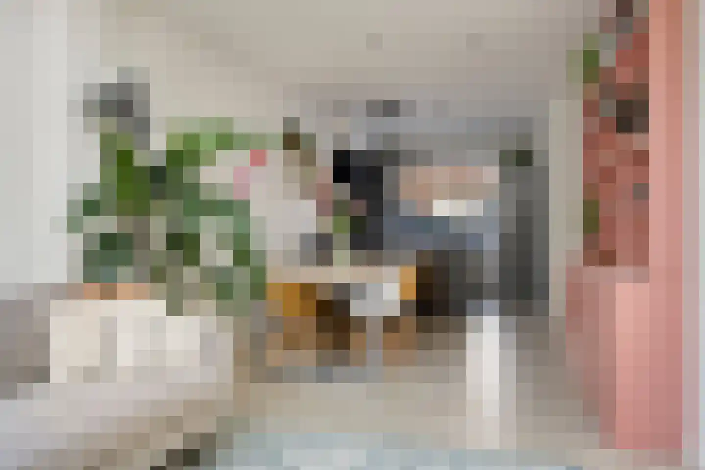 Jan Backstraat 24 Tilburg thumbnail 9