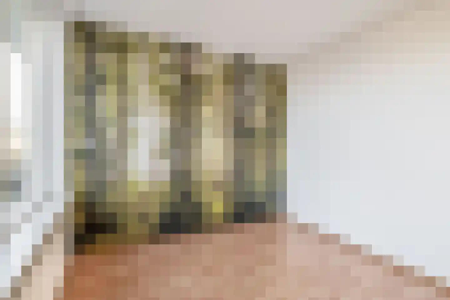 Jan Barendselaan 100 Poeldijk thumbnail 25