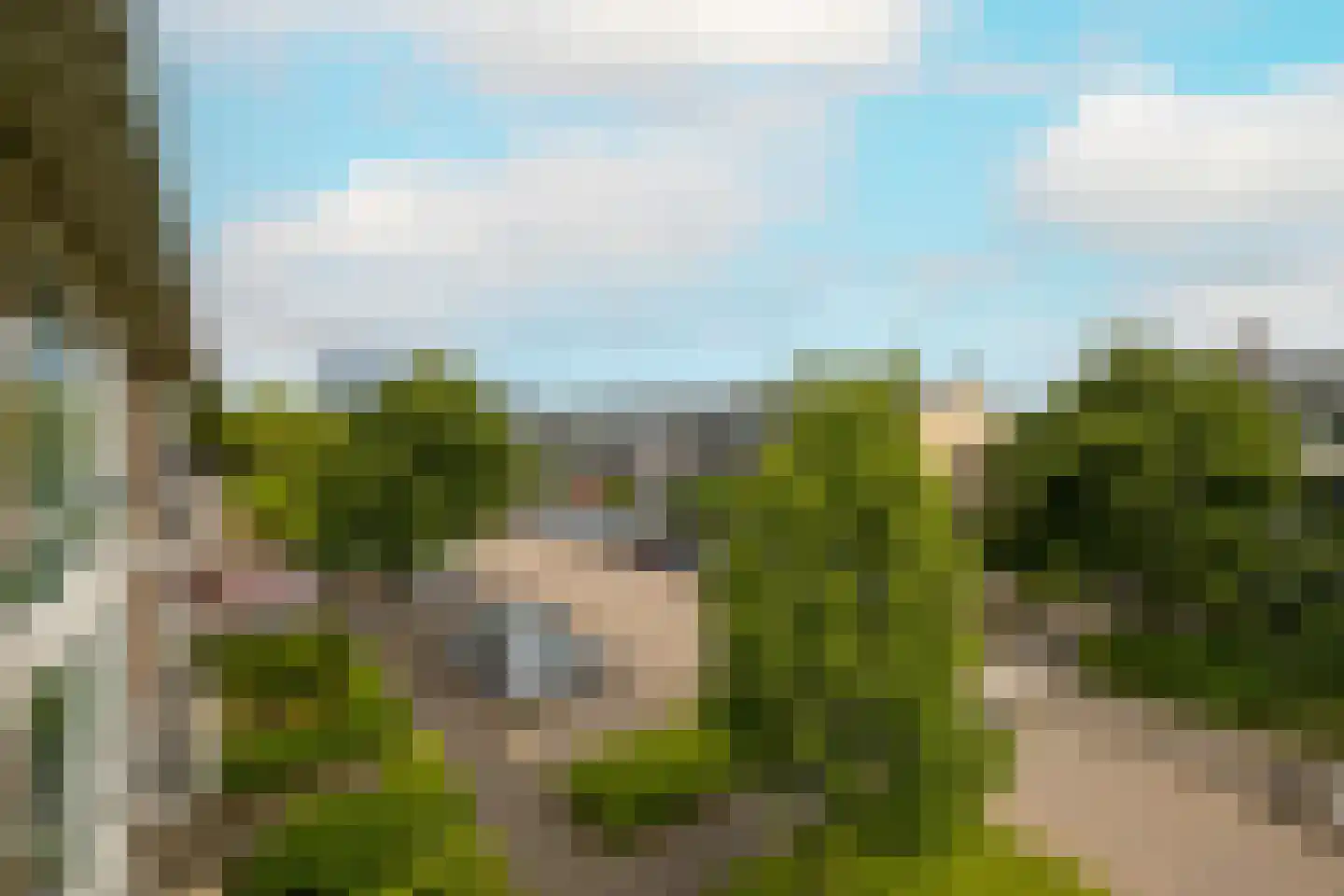 Jan Barendselaan 119 Poeldijk thumbnail 31