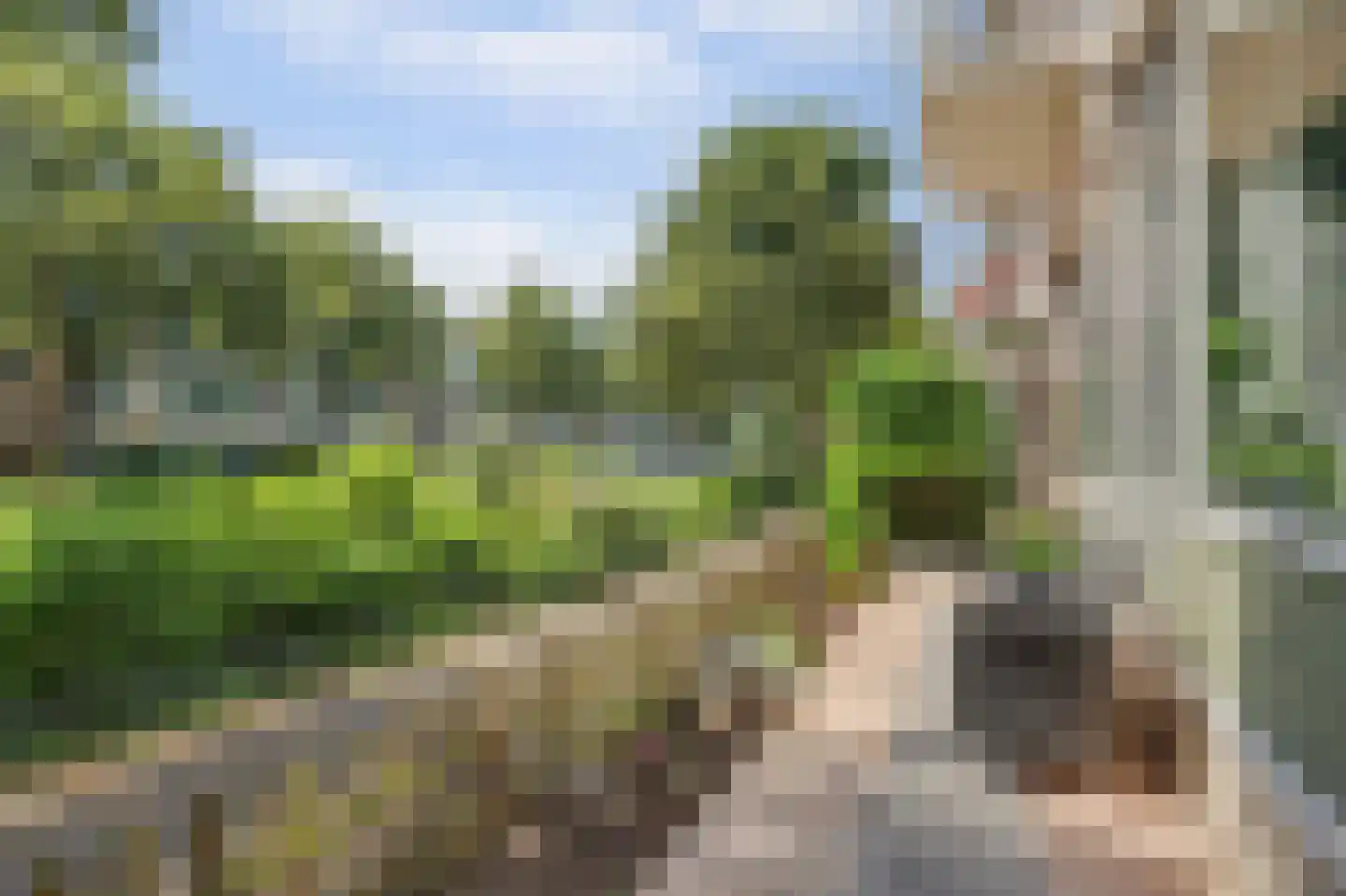 Jan Barendselaan 146 Poeldijk thumbnail 27