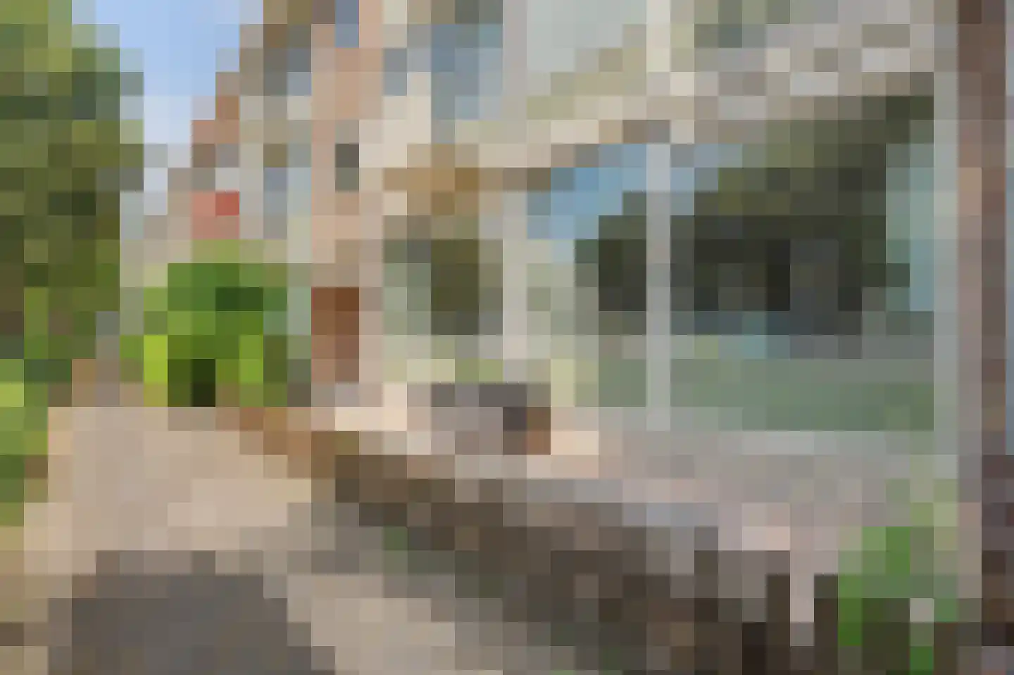 Jan Barendselaan 146 Poeldijk thumbnail 28