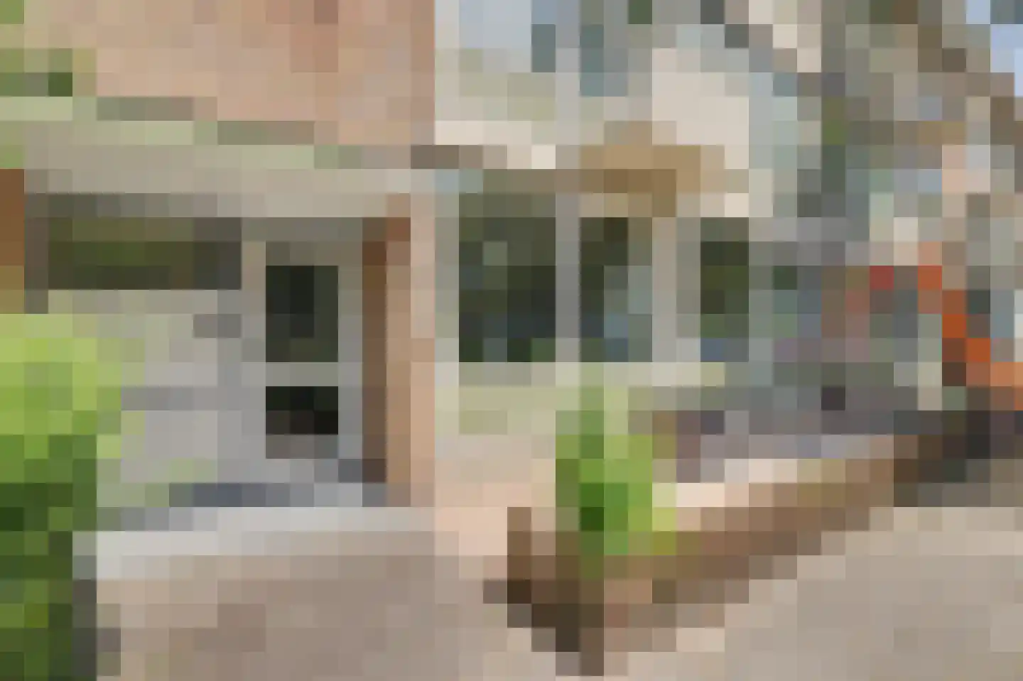 Jan Barendselaan 146 Poeldijk thumbnail 31