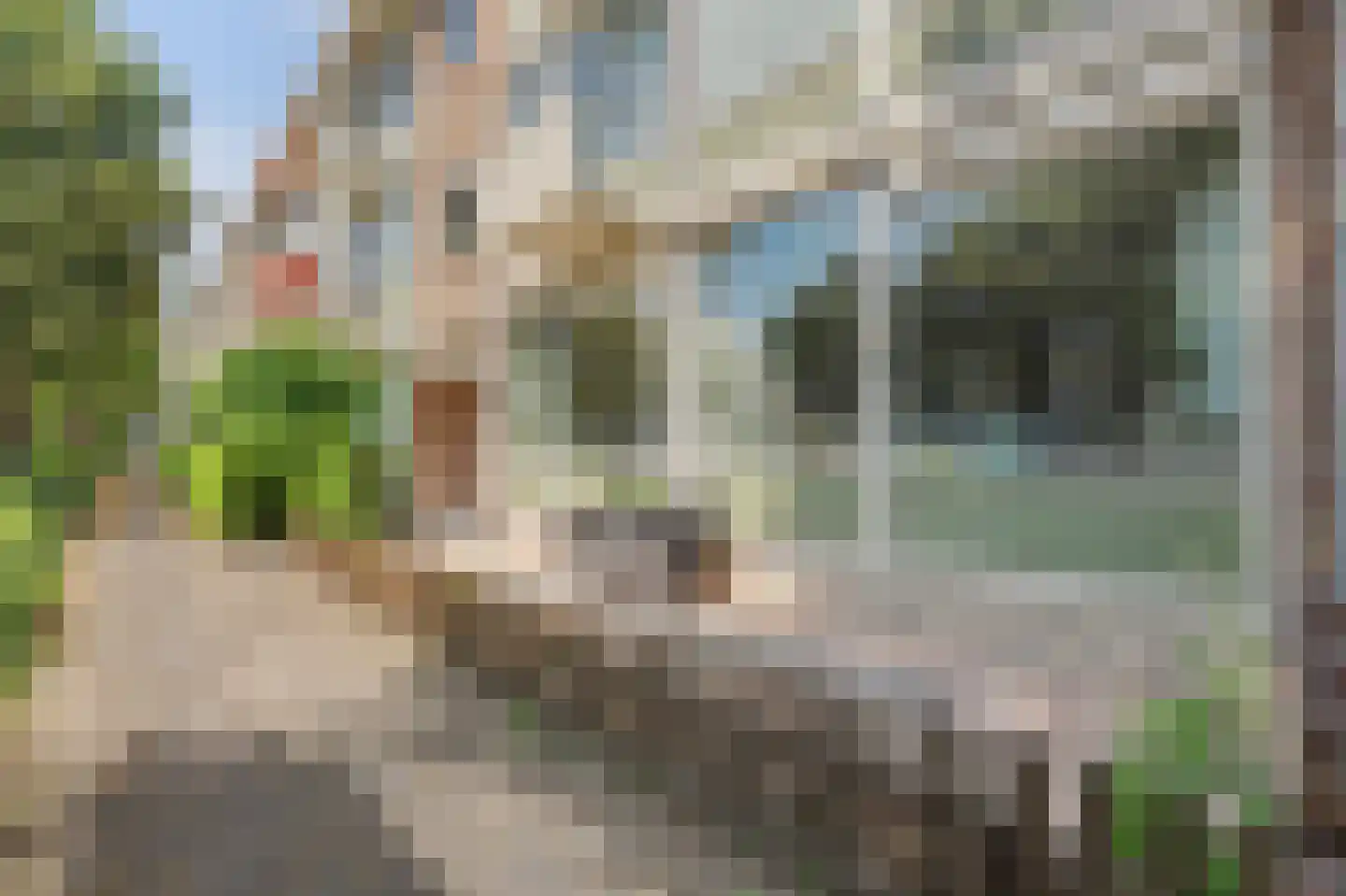 Jan Barendselaan 146 Poeldijk thumbnail 34