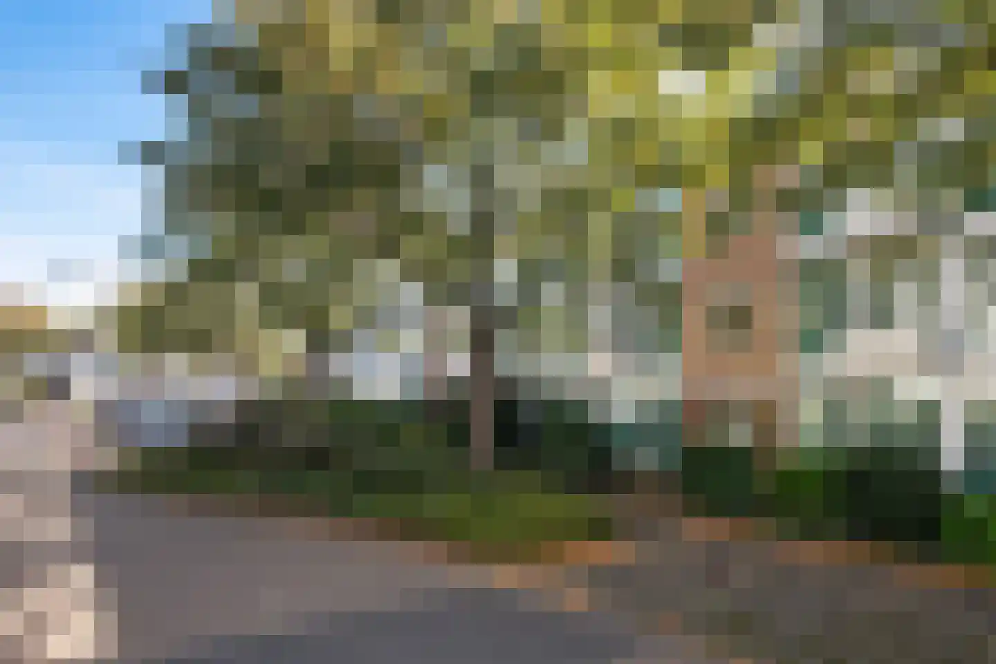 Jan Barendselaan 161 Poeldijk thumbnail 34