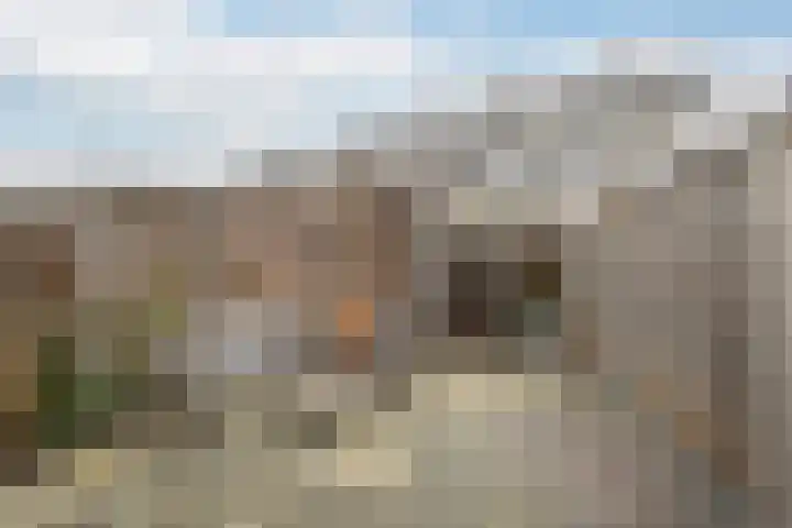 Jan Barendselaan 194 E Poeldijk thumbnail 10