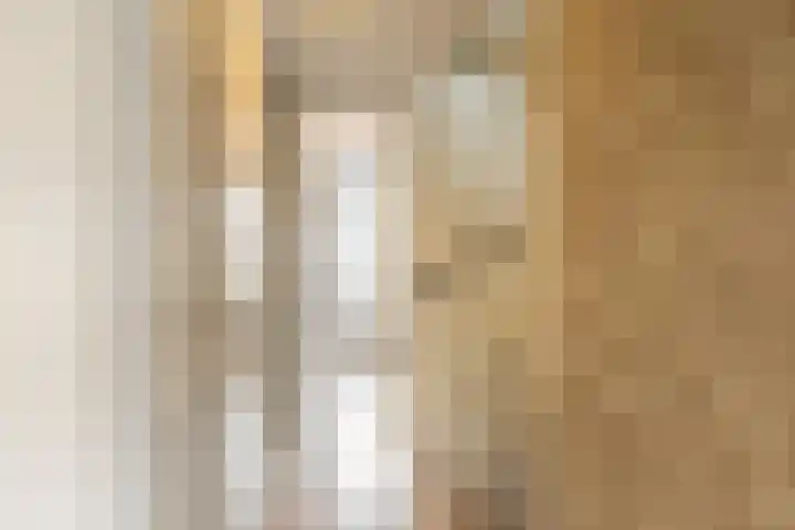 Jan Barendselaan 194 E Poeldijk thumbnail 25