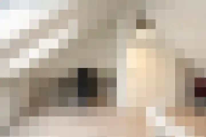 Jan Barendselaan 194 E Poeldijk thumbnail 26