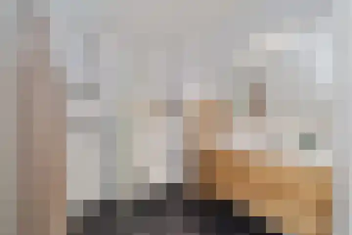 Jan Barendselaan 194 K Poeldijk thumbnail 20