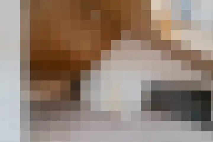 Jan Barendselaan 194 K Poeldijk thumbnail 23
