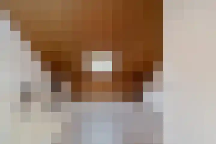 Jan Barendselaan 194 K Poeldijk thumbnail 24