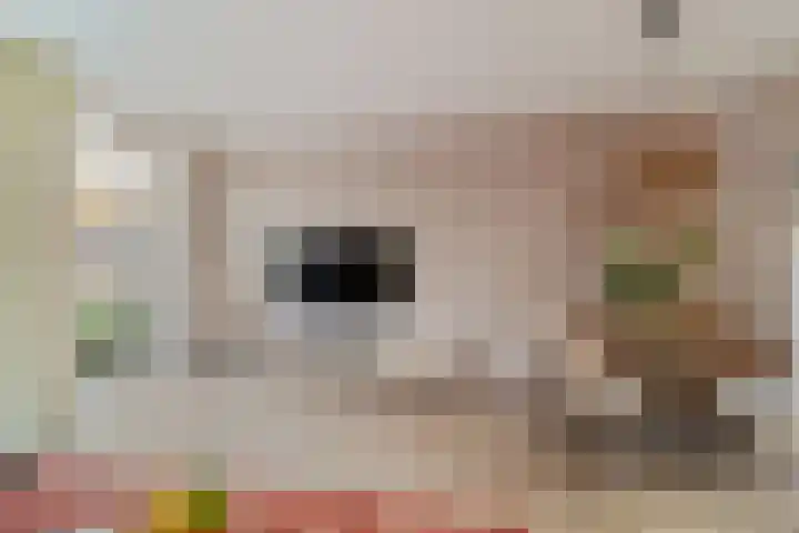 Jan Barendselaan 194 K Poeldijk thumbnail 8