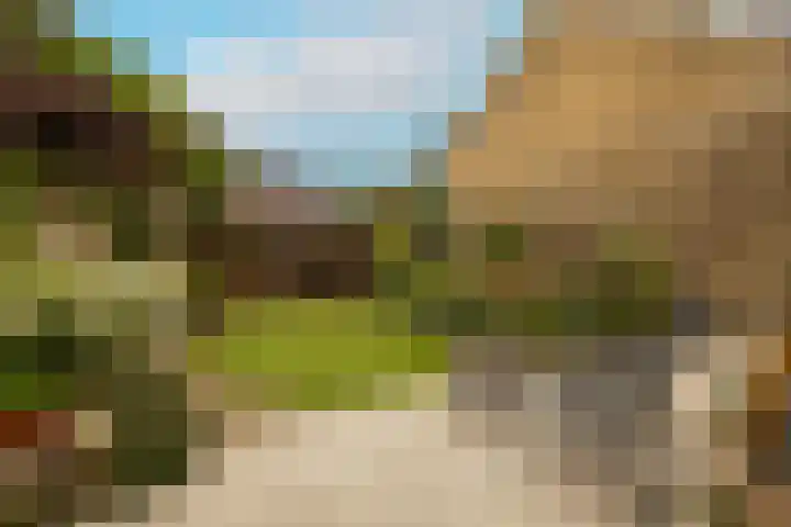Jan Barendselaan 197 Poeldijk thumbnail 16