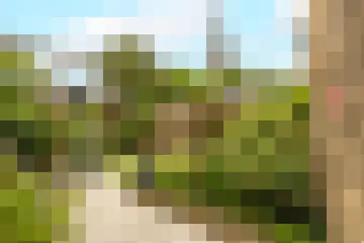 Jan Barendselaan 197 Poeldijk thumbnail 36