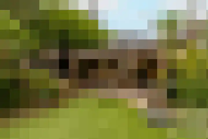 Jan Barendselaan 197 Poeldijk thumbnail 37